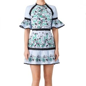 Amur Logan Embroidered Dress Size 2 Blue Striped Floral Ruffle Sleeve